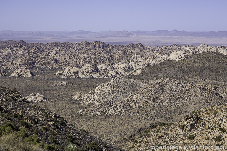 Desert Biogeography of Joshua Tree National Park